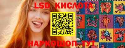 прущие грибы Краснознаменск