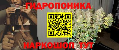 прущие грибы Краснознаменск