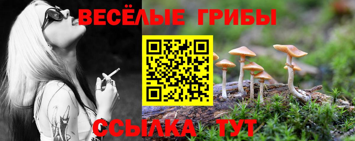 Псилоцибиновые грибы Magic Shrooms Железногорск