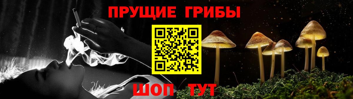 Галлюциногенные грибы мухоморы  Вход с VPN  Железногорск 